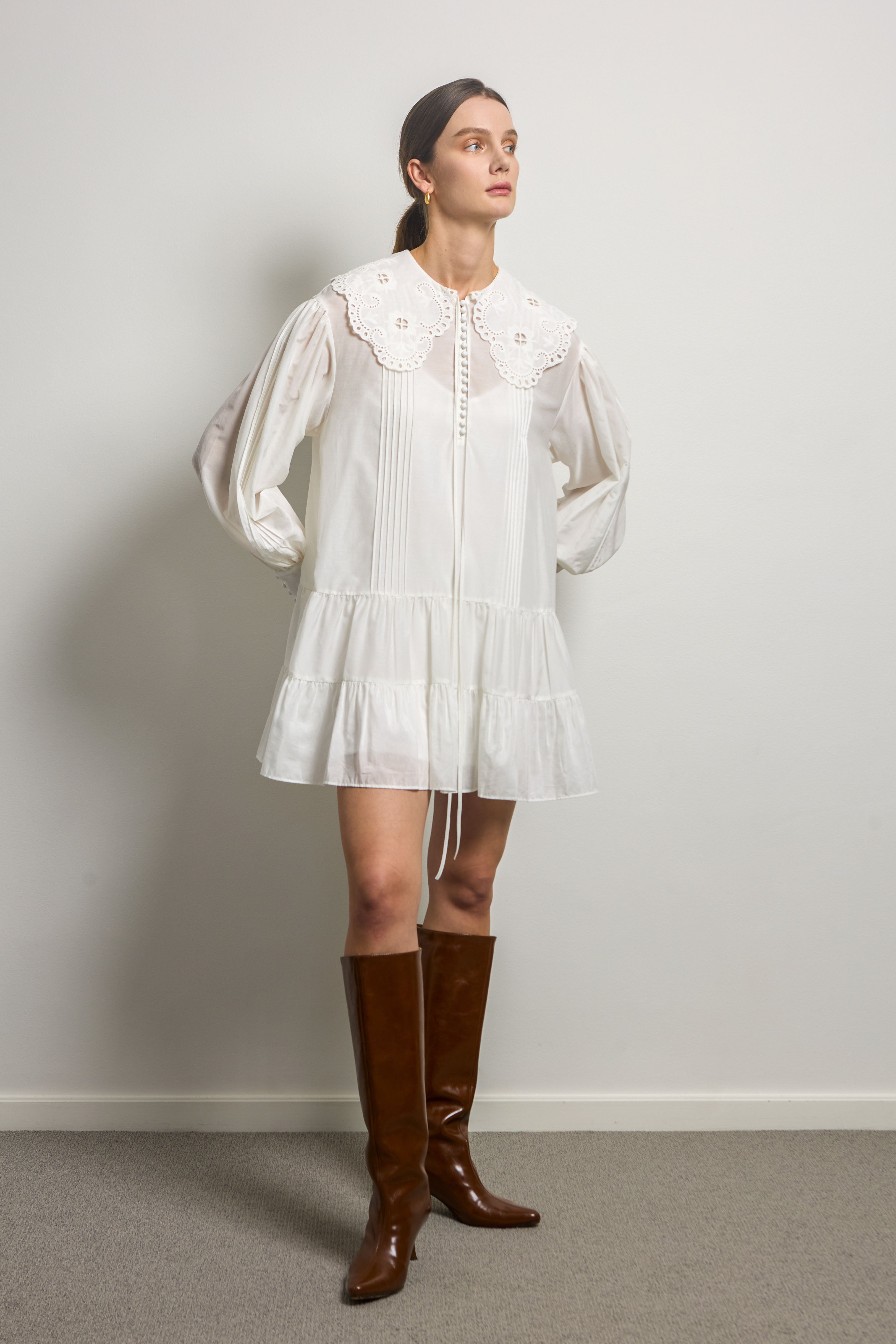 Lace Embroidered Collar Mini Dress
