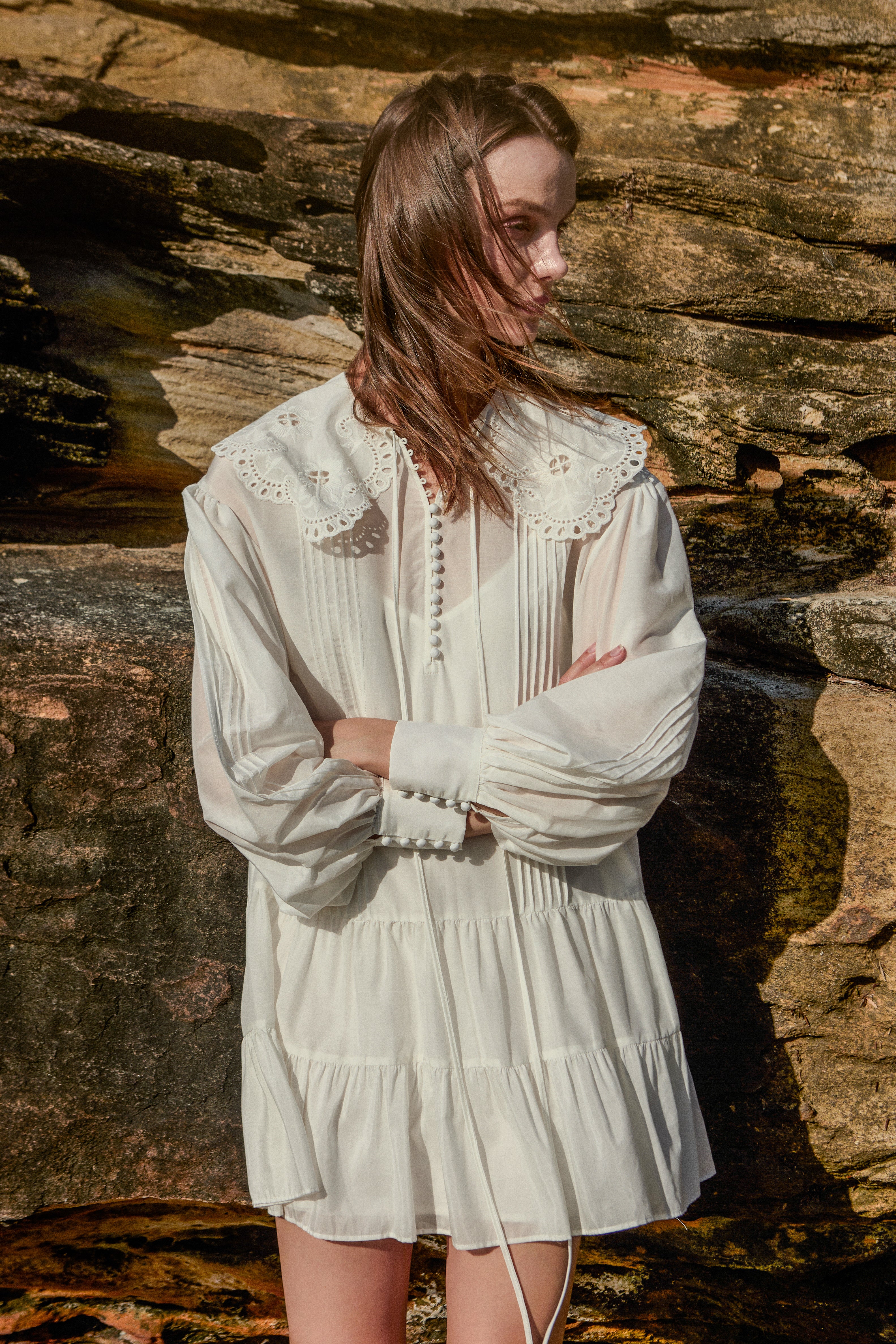 Lace Embroidered Collar Mini Dress