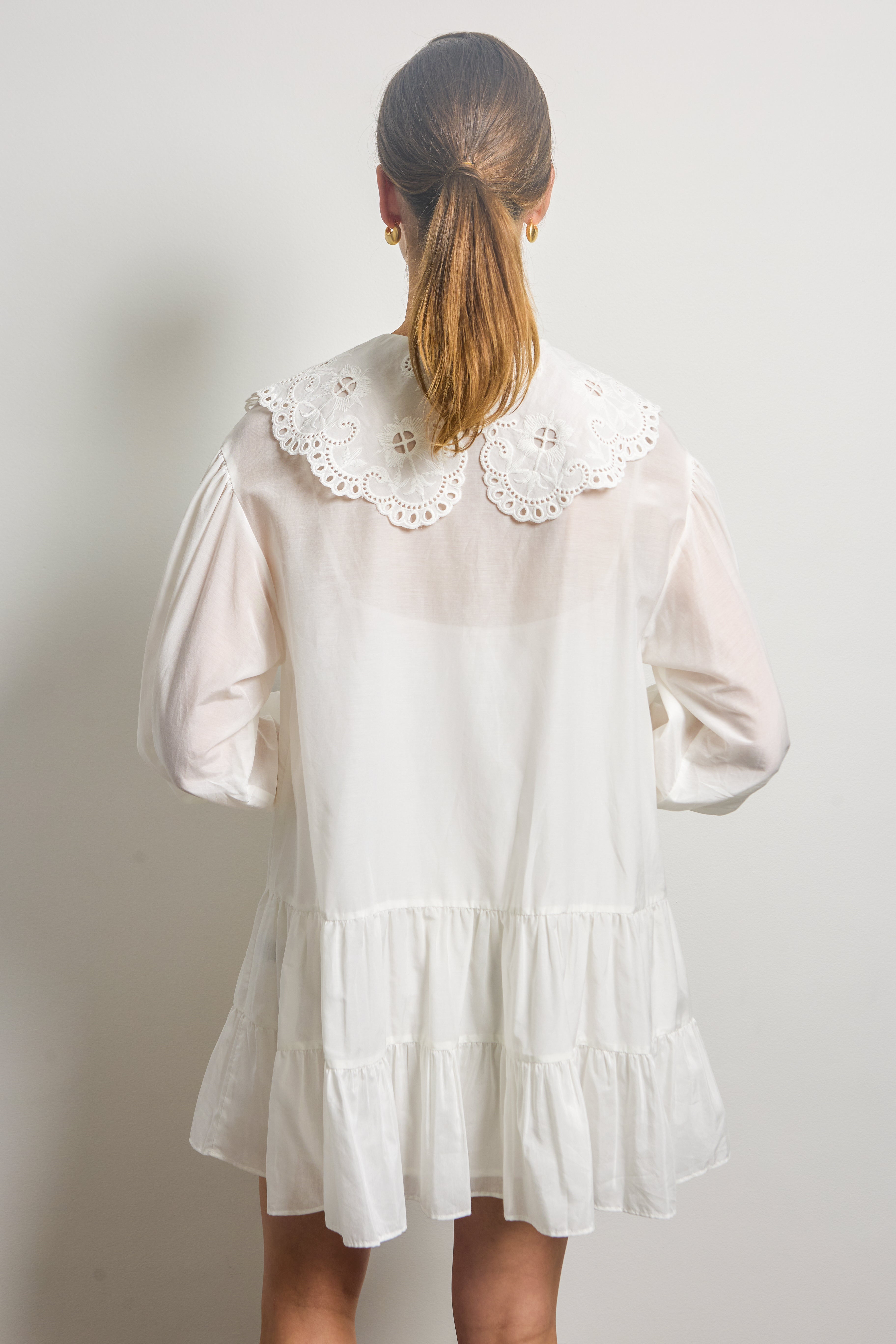 Lace Embroidered Collar Mini Dress
